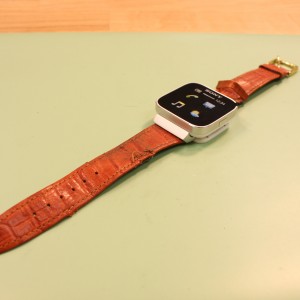 Customizing and repairing of smartwatch